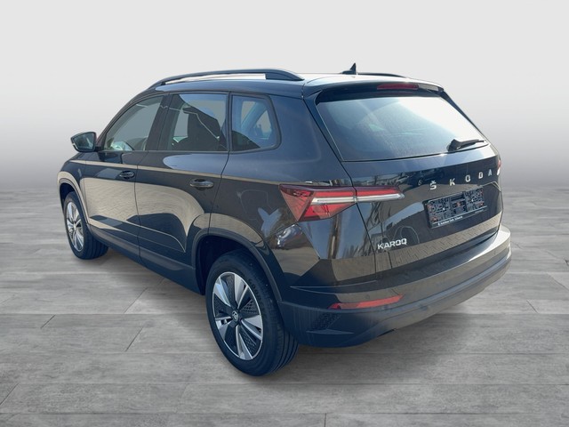 Skoda - Karoq 2.0 TDI DSG Ambition LED+NAVI+SHZ+RFK_12