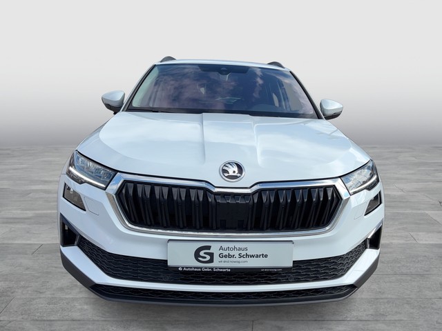 Skoda - Karoq 2.0 TDI DSG Tour ACC CAM LED NAVI PANO_17 Skoda - Karoq 2.0 TDI DSG Tour ACC CAM LED NAVI PANO_17