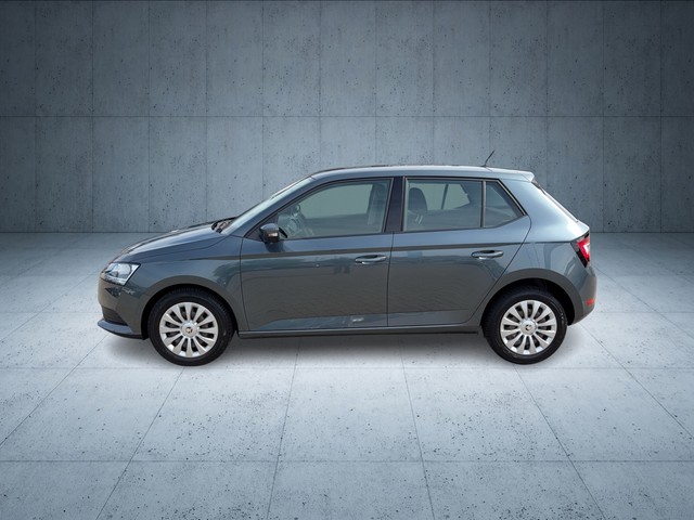 Skoda - Fabia 1.0 TSI Cool Plus AHK GJR KLIMA RADIO TEL_8