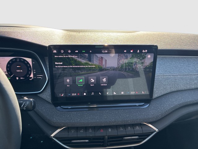 Seat - Ibiza FR 1.0 TSI 85 kW (116 PS) 7-Gang-DSG FR_10