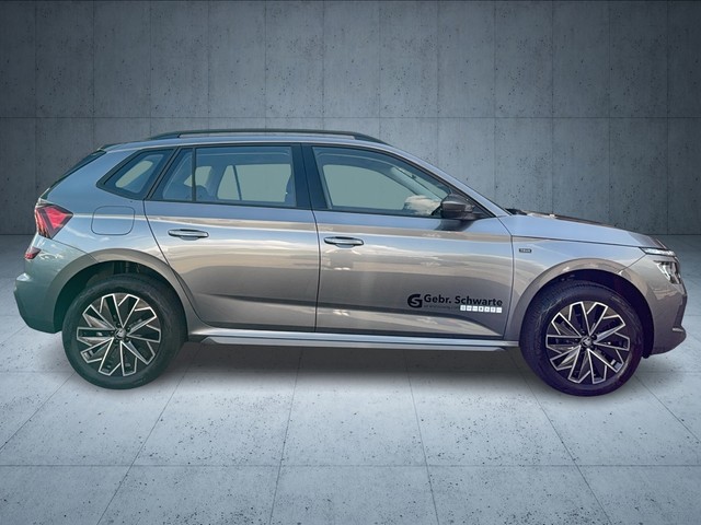 CUPRA - Formentor 2.0 TSI DSG 4Drive VZ AHK+DCC+LED+19"_11