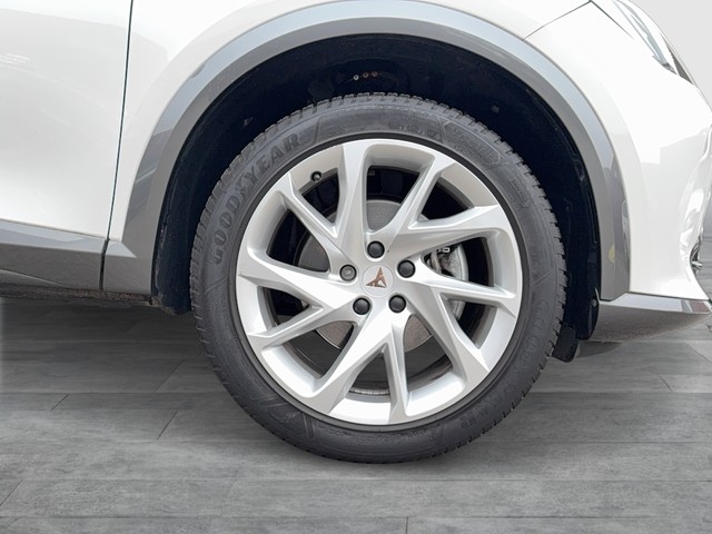 Seat - Formentor 1.5TSI Basis Virtual+ACC+LED+Sitzhzg._17