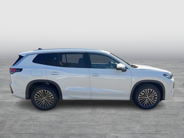 VW - Tayron 2.0 TDI Elegance AHK Matrix Standhzg._11